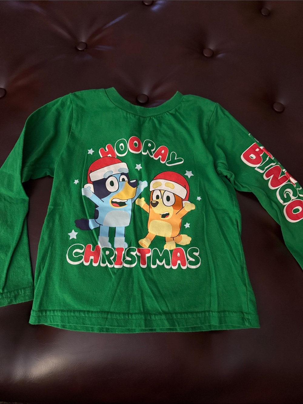 Kids Green 'Hooray Christmas' Long-Sleeve Tee with Bingo & Bluey Print